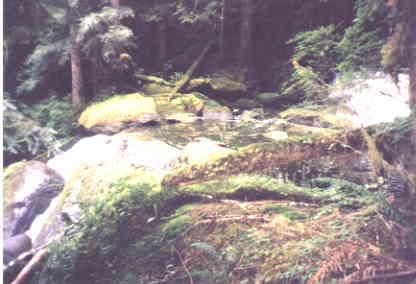 McCannel Creek, one of many water falls